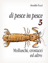 molluschi