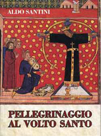 pellegrinaggio_volto